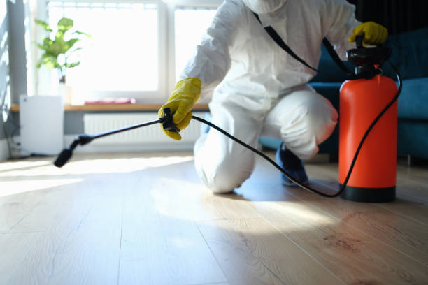 Affordable Sewage Cleanup solutions in Fountain, NC